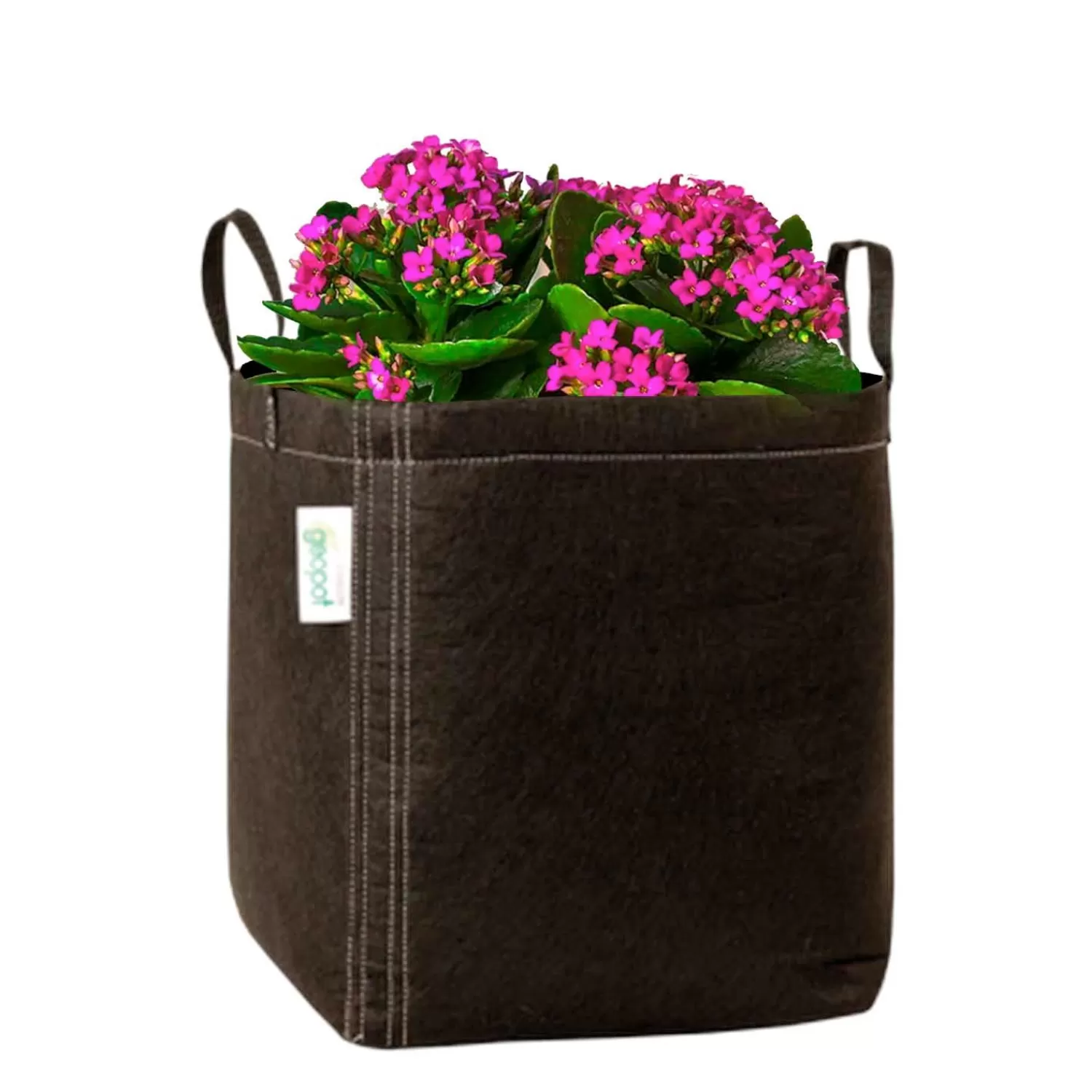 Black Geopot Fabric Bag - 15 Gallon>Roger's Gardens New