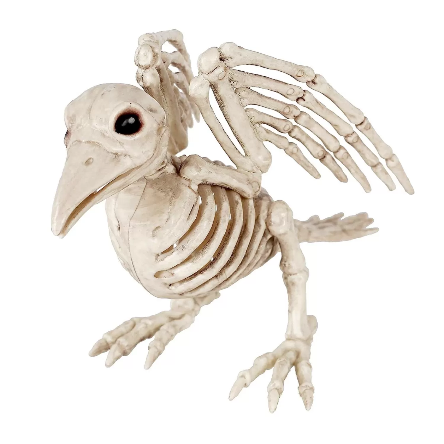 Bonez The Bird - 5.5" Tall>Roger's Gardens Hot