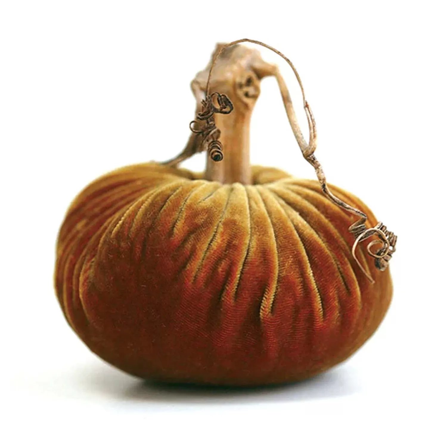 Curry Velvet Pumpkin - 6" Tall To 13" Tall>Roger's Gardens Discount