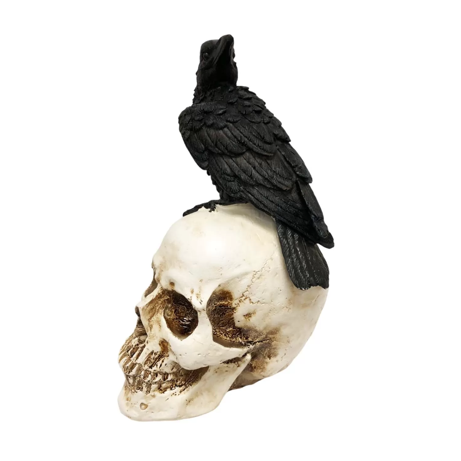 Halloween Lighted Black Crow On Spooky Skull - 9.5" Tall>Roger's Gardens Sale