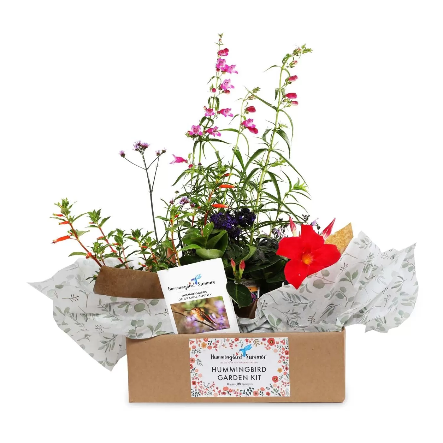 Hummingbird Gardening Kit>Roger's Gardens Best