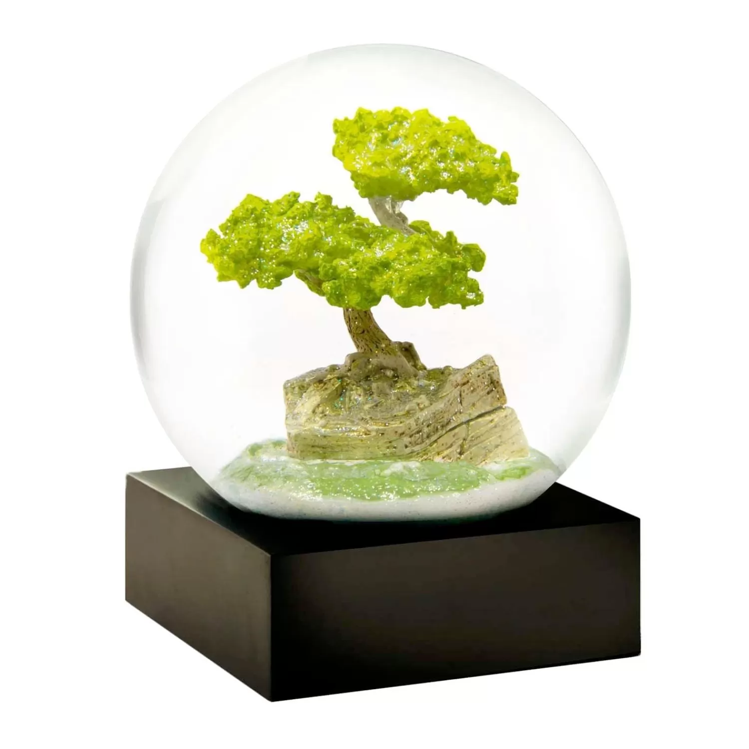 Majestic Bonsai Snow Globe>Roger's Gardens New