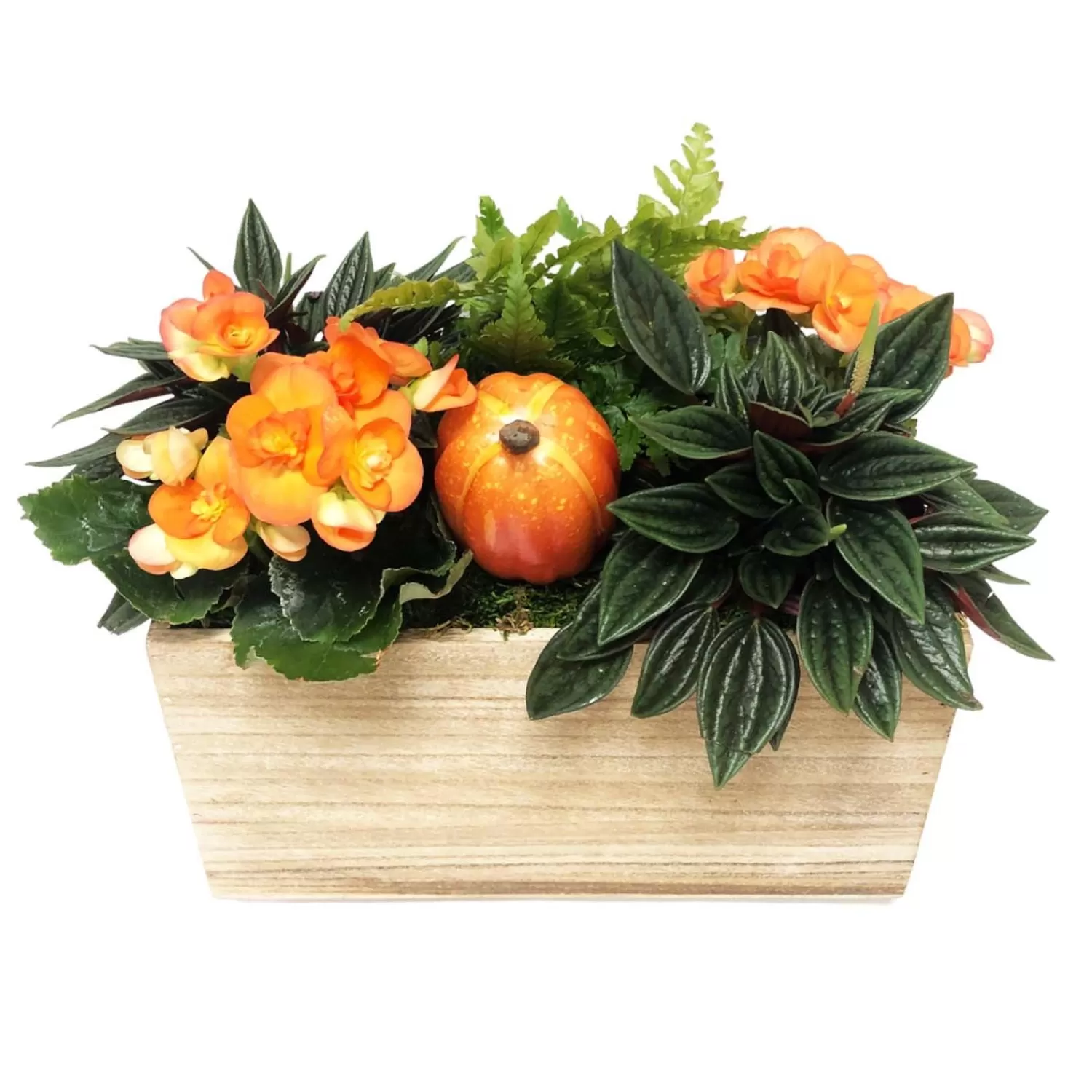 Medium Traditional Fall Living Centerpiece>Roger's Gardens Sale