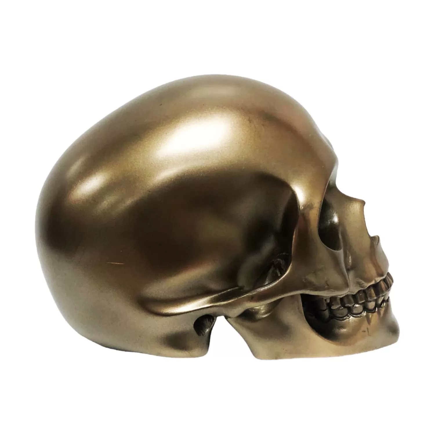 Mystical Bronze Skull - 5.25" Tall>Roger's Gardens Store