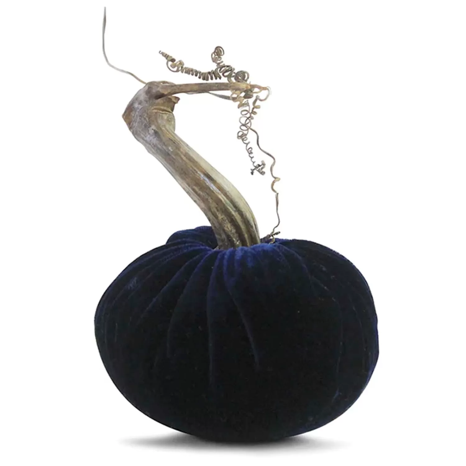 Navy Velvet Pumpkin - 6" Tall To 8" Tall>Roger's Gardens Hot