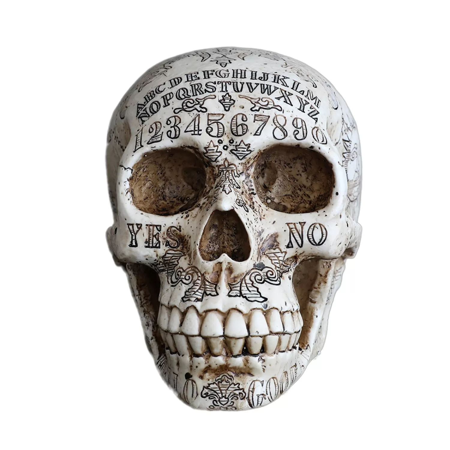 Ouija Skull - 6.25" Tall>Roger's Gardens Best Sale