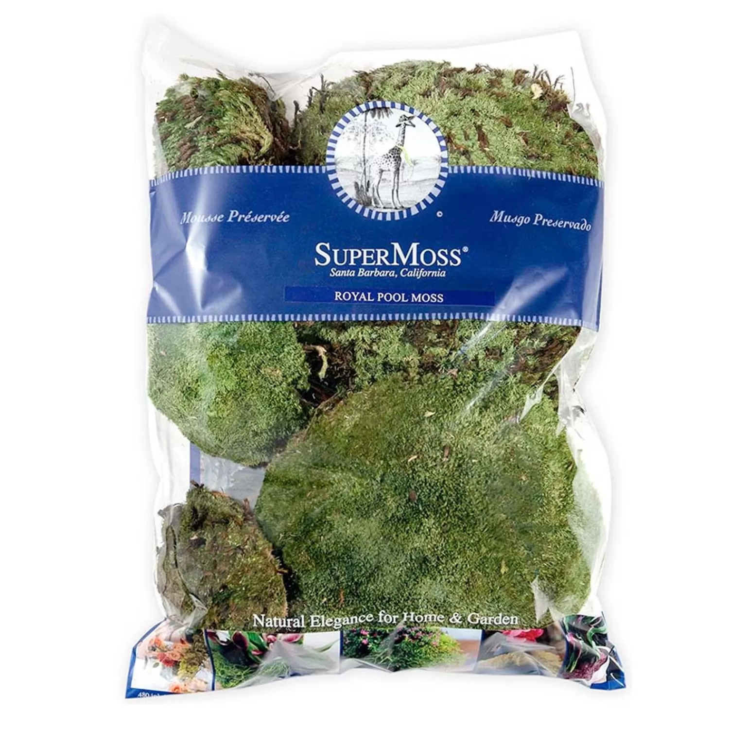 Royal Pool Moss Preserved - 8Oz>Roger's Gardens Clearance