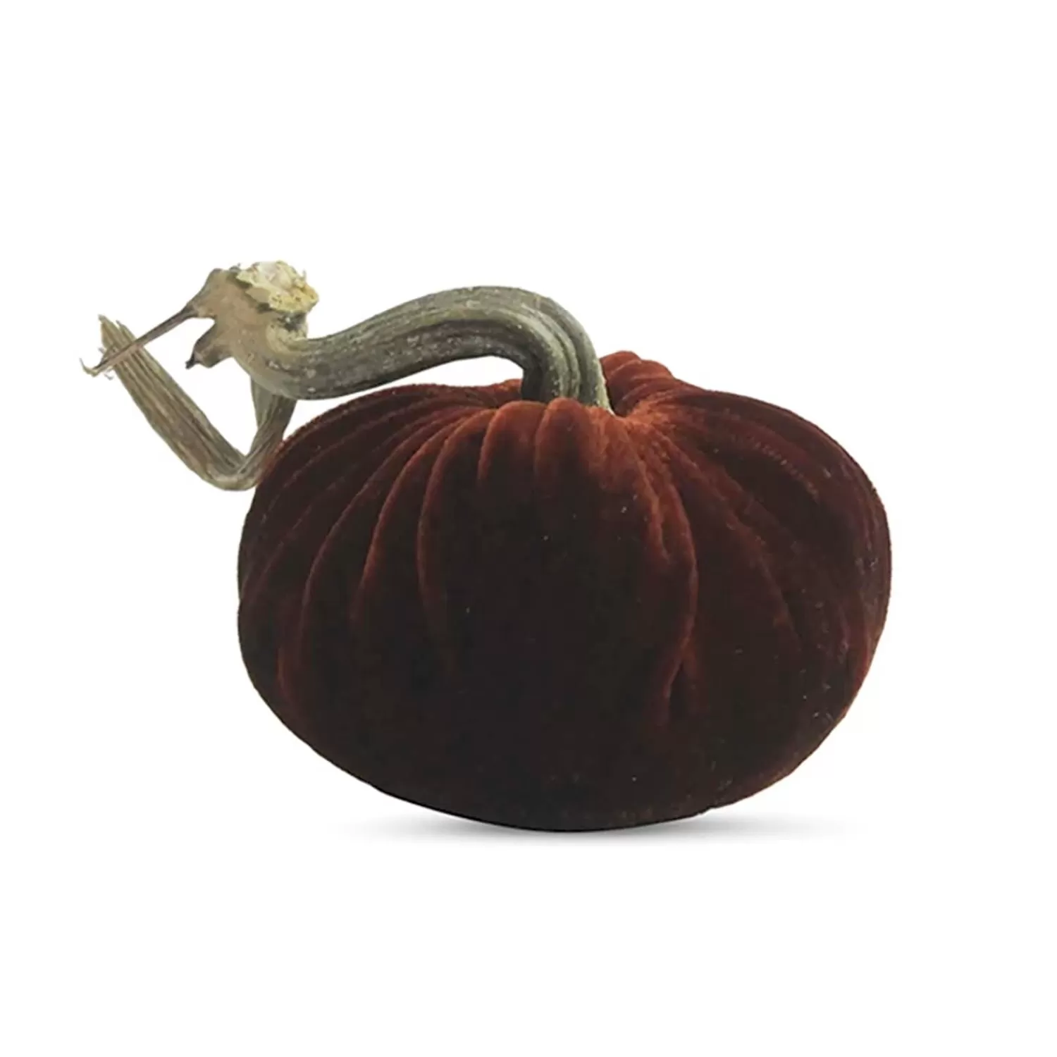 Saffron Velvet Pumpkin - 6" Tall To 13" Tall>Roger's Gardens Cheap