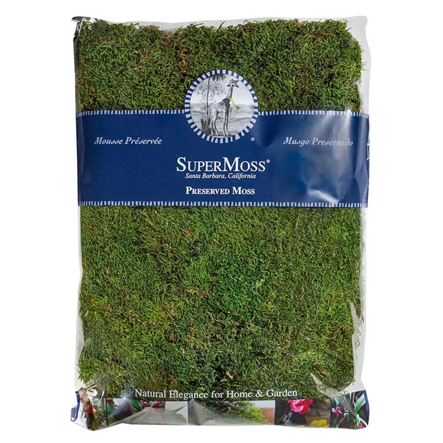 Sheet Moss - 16Oz>Roger's Gardens Store