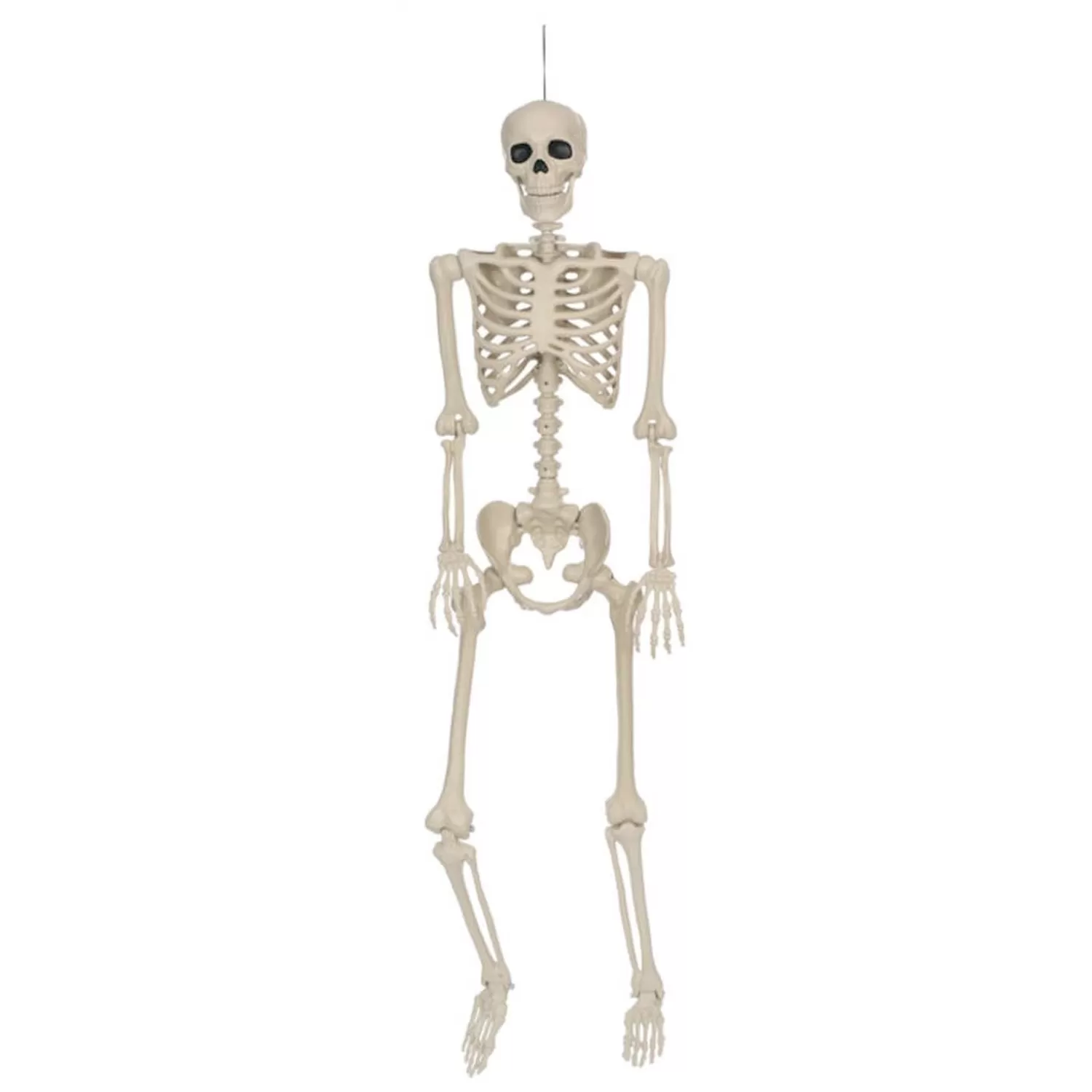 Skeleton - 36" Tall>Roger's Gardens Cheap