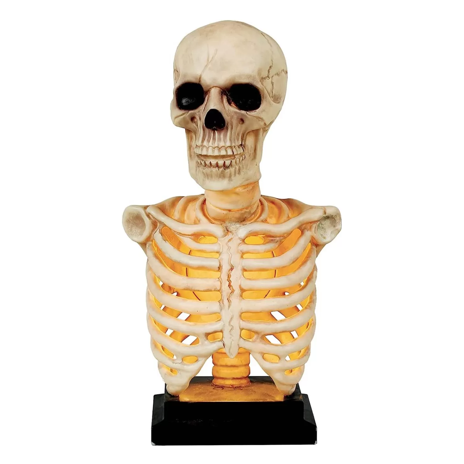 Skeleton Bust Statue With Light And Sound - 16" Tall>Roger's Gardens Best