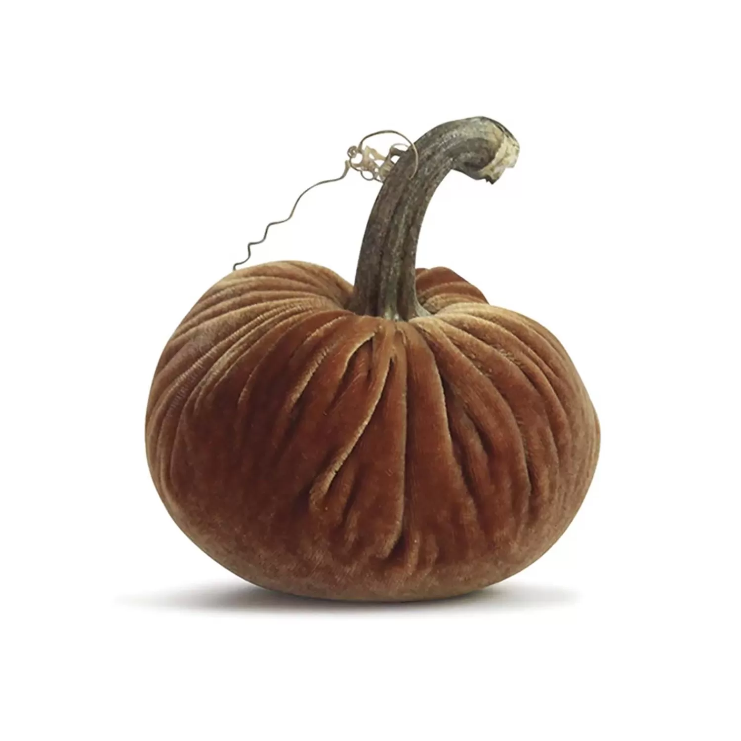 Spice Velvet Pumpkin - 6" Tal Lto 8" Tall>Roger's Gardens Hot