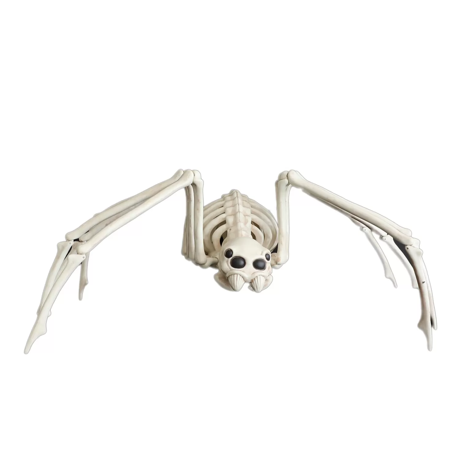 Spider Skeleton - 9" Tall>Roger's Gardens Store