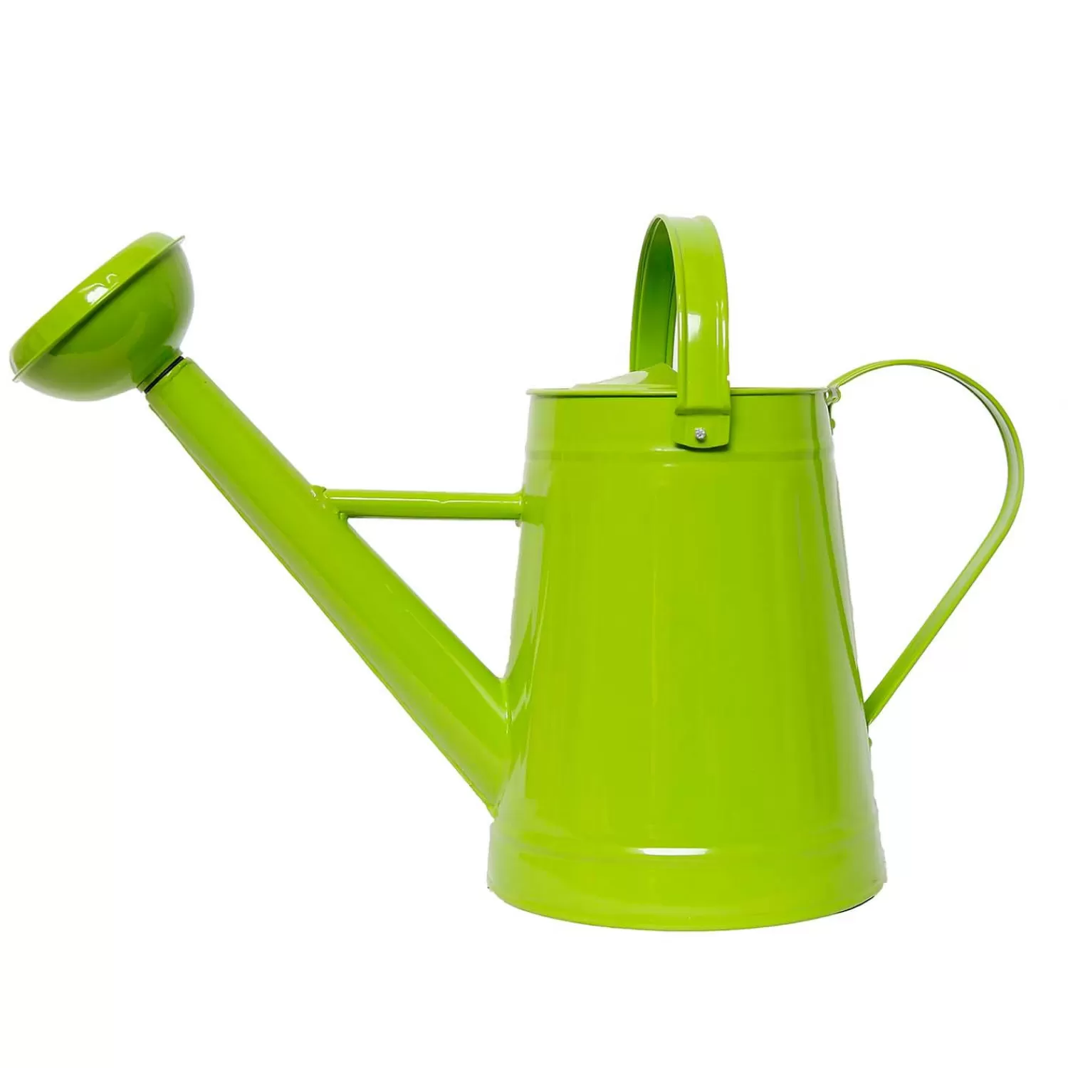 Traditional Metal Watering Can - Green>Roger's Gardens Outlet