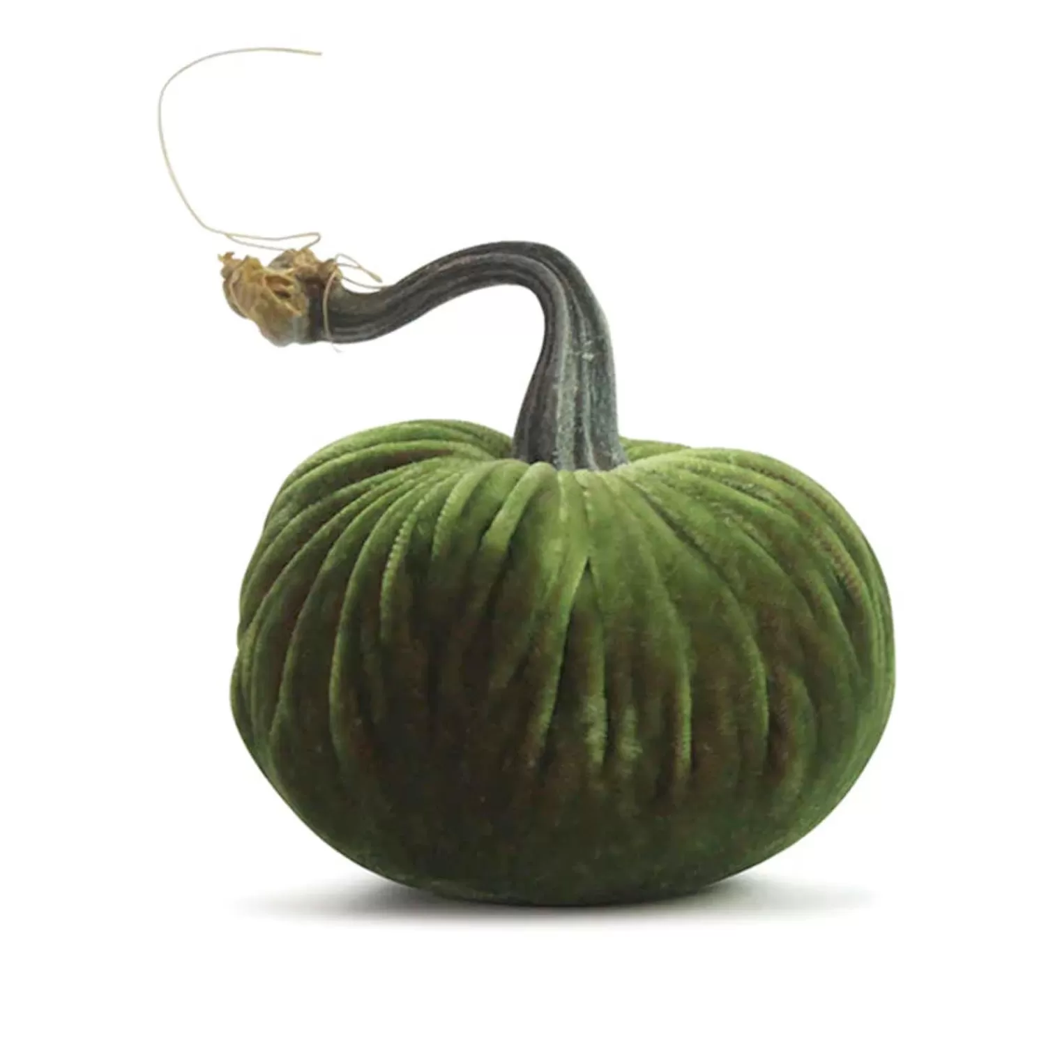 Watermelon Velvet Pumpkin - 6" Tall To 13" Tall>Roger's Gardens Flash Sale