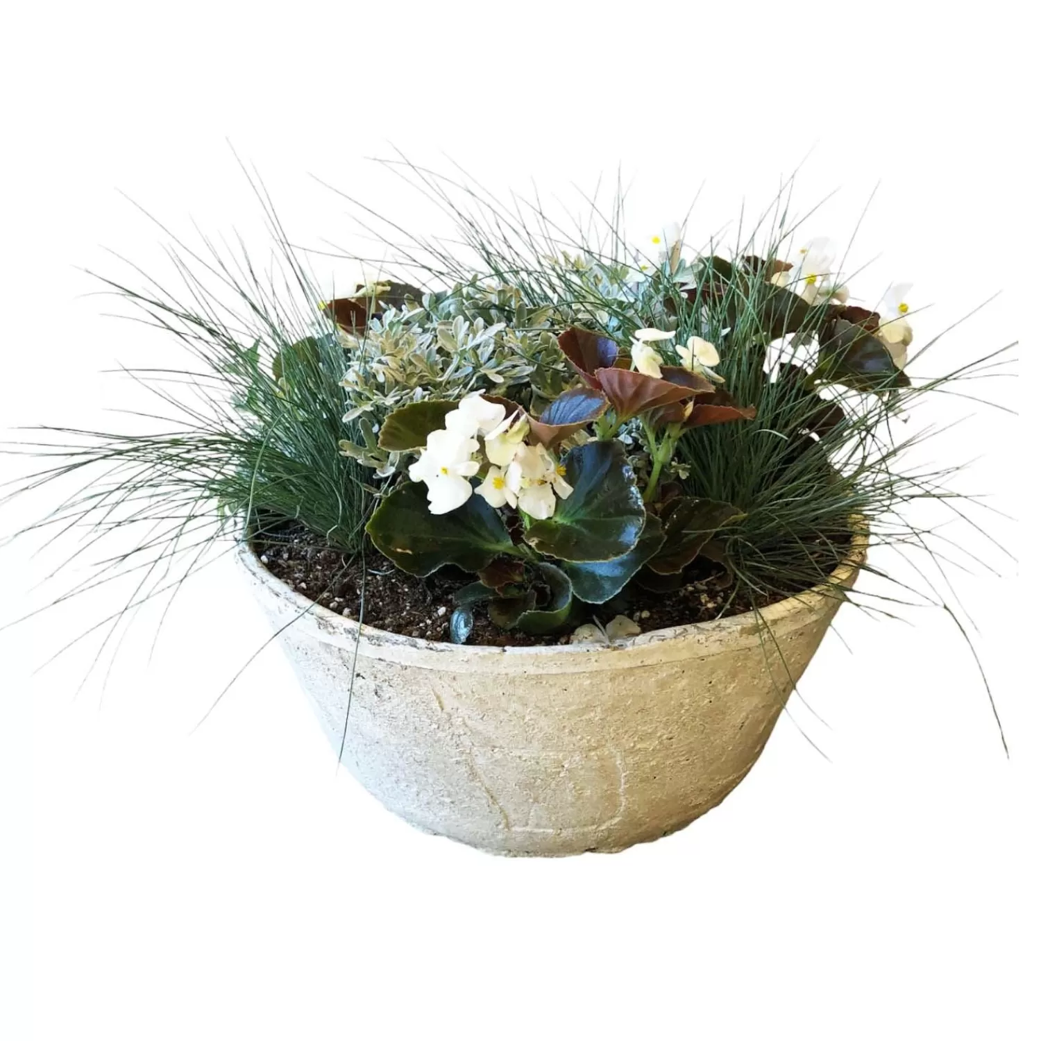 White Autumn In Large Whitestone Bowl>Roger's Gardens Best Sale