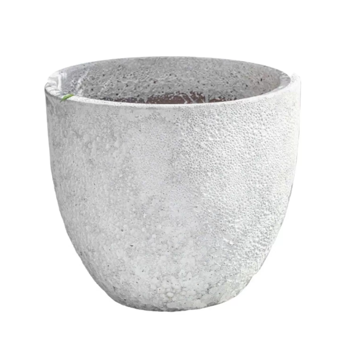 White Coral Caipirinha Planter>Roger's Gardens Fashion